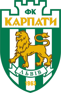 基希纳乌野牛