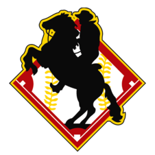 阿尔特米萨FC